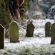 Illustration for article titled Will Smallpox Reemerge in Siberia as Corpses Thaw from Climate Change?